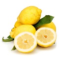 Amalfi Lemon