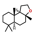 Ambrox Super