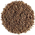 Anise