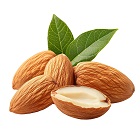 Bitter Almond