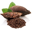 Cacao Pod