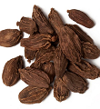 Cardamom