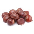 Chestnut