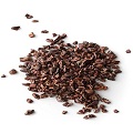 cocoa shell