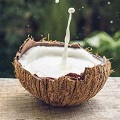 Coconut Milk