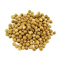 Coriander