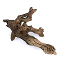 Driftwood