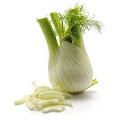 Fennel