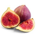 Fig