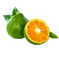 Green Mandarin