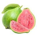 Guava