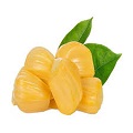 Jackfruit