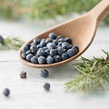 juniper berry