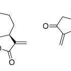 Lactones