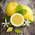 Lemon Blossom