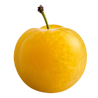 Mirabelle