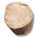 Oak