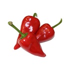 Pimento