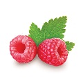 Raspberry