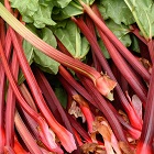 Rhuburb