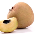 Sapodilla