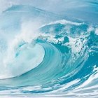 Sea Notes
