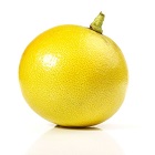 Sicilian Bergamot
