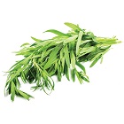 Tarragon