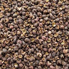 Timur