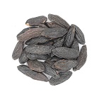 Tonka Bean