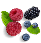 Wild Berries