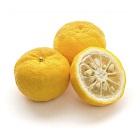 Yuzu