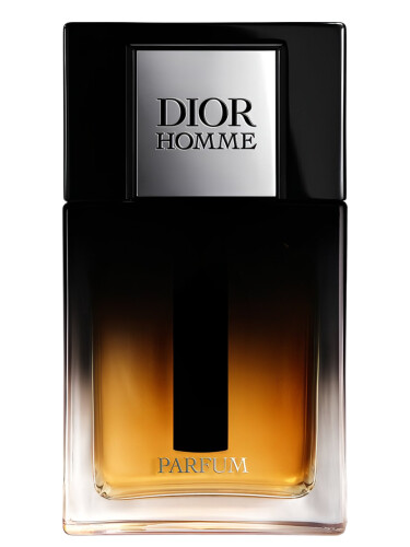 Dior Homme Parfum 2025 Dior
