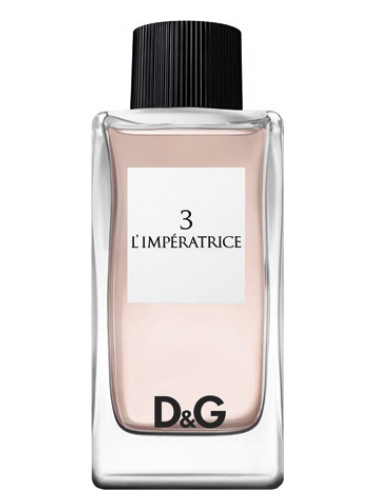 D&G Anthology L