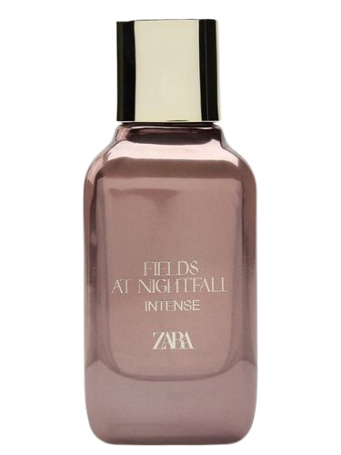 Fields at Nightfall Intense Zara