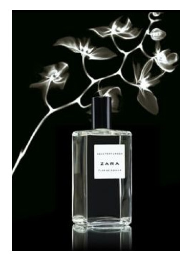 Flor de Azahar Zara