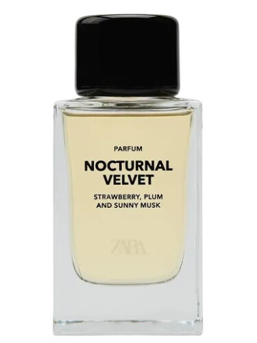 Nocturnal Velvet Zara