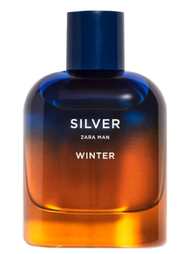 Silver Winter Zara Man Zara