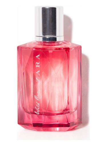 Wild Rose Zara