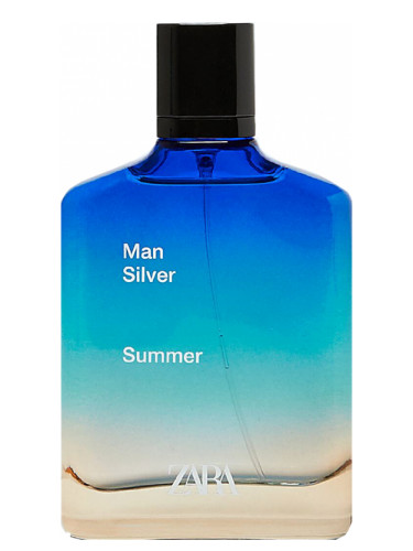 Zara Man Silver Summer 2020 Zara