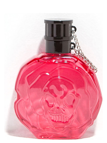 Zara Rose Petal Zara